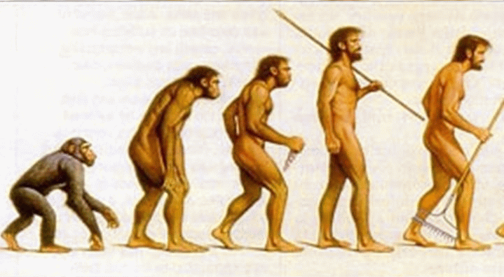 Evolutia Omului