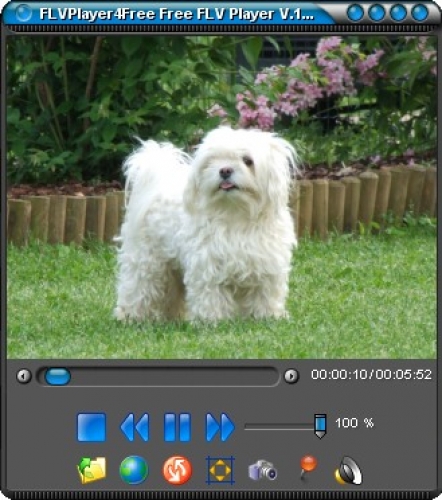 FLVPlayer4Free 4.4