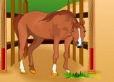 Horse Care - Jocuri Fete