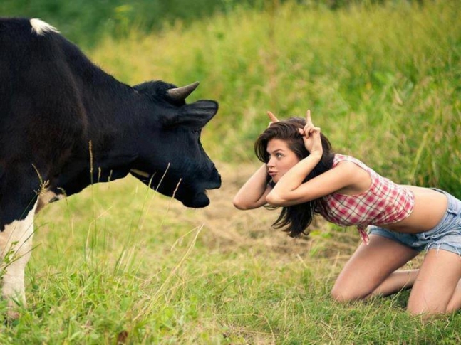 Asa vreau sa fiu tratat cand sunt un bou