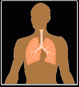 Pneumoniile bacteriene si pneumoniile atipice, infectii a tractului respirator inferior, medicale, pneumoftiziologie
