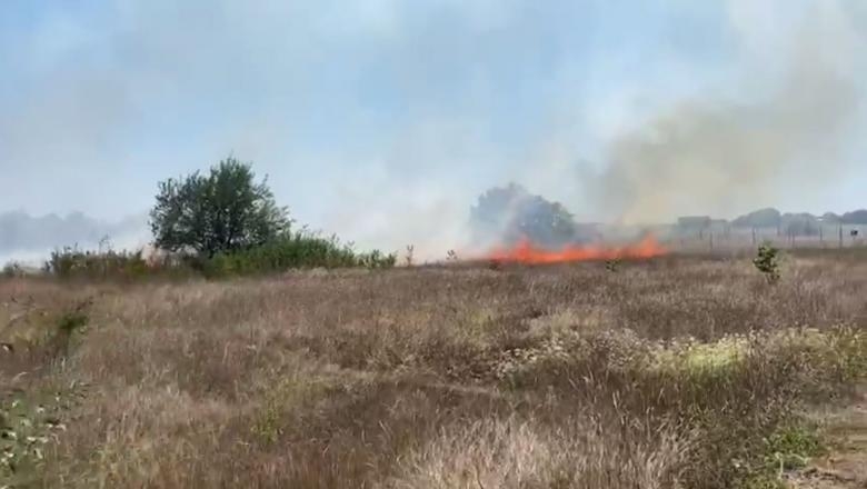 Incendiu de vegetație între 2 Mai și Vama Veche