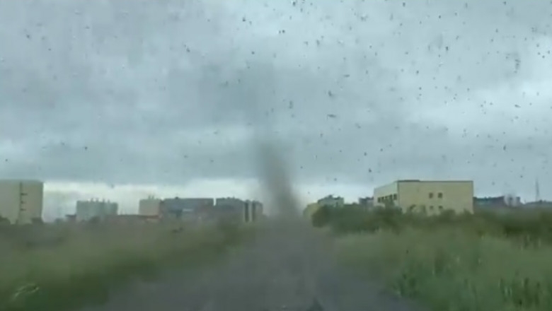VIDEO. „Tornadă” de țânțari, filmată în regiunea Kamceatka din Rusia